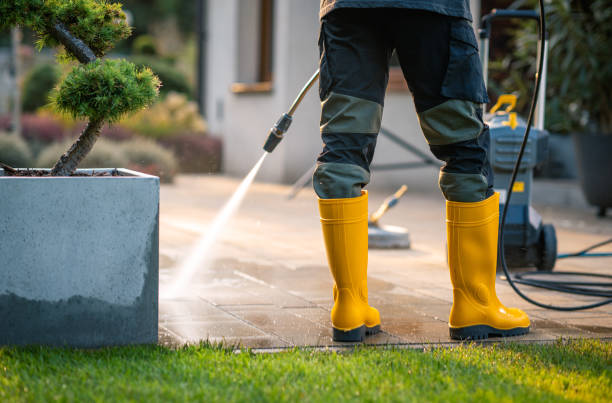 Best Pressure Washing Near Me  in Gueydan, LA